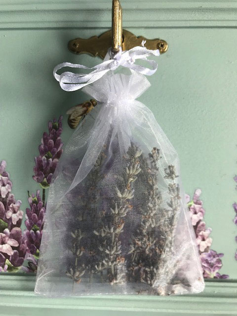 Lavendel