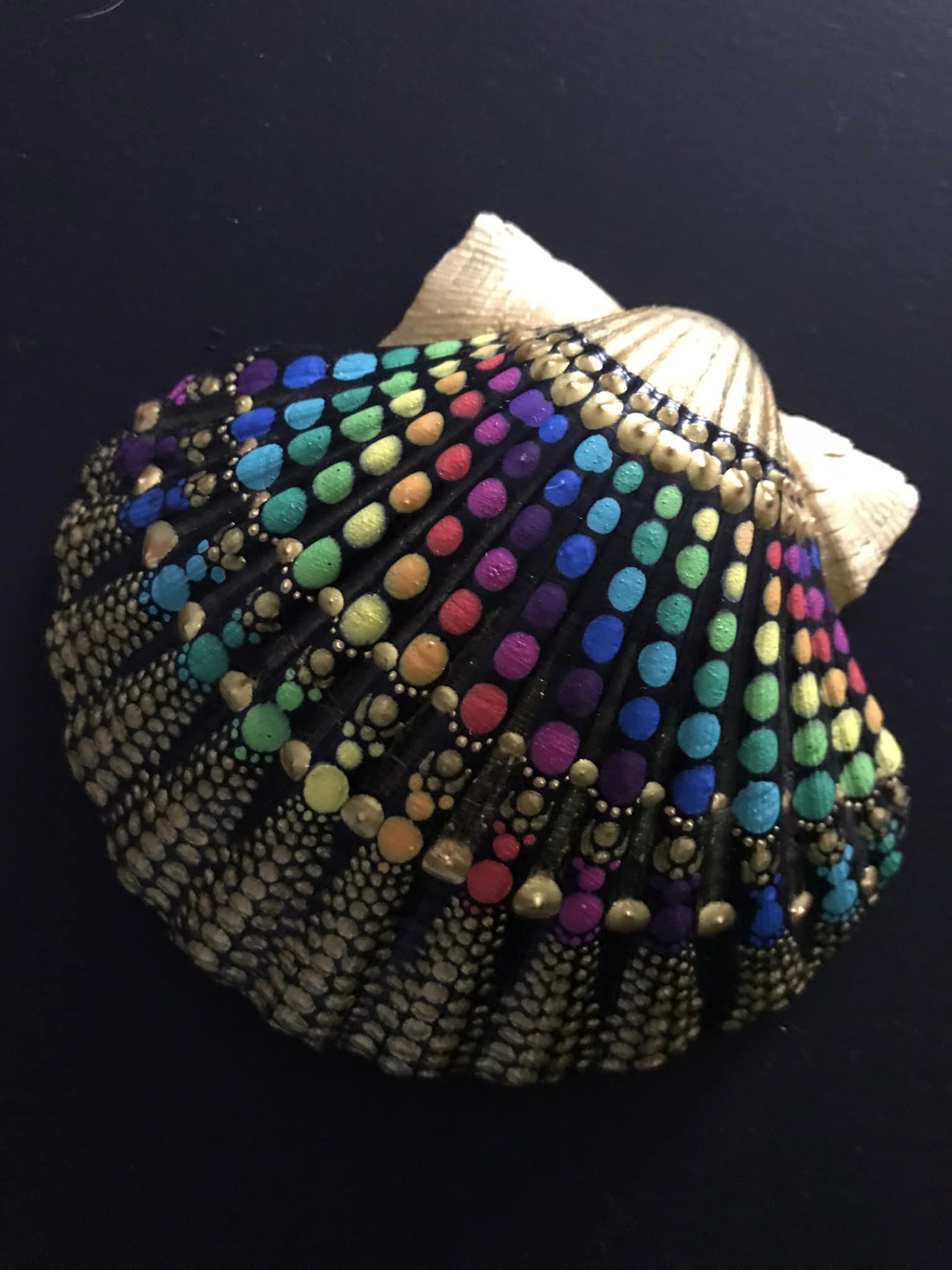 Rainbowshell © Monika Rose